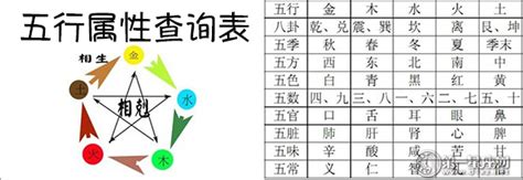 翰字五行|五行查询